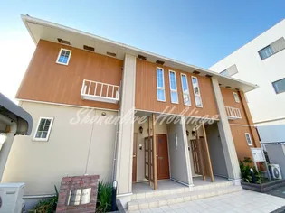 アランパル ミッテの画像