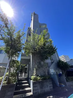 カルミアルピナスの画像