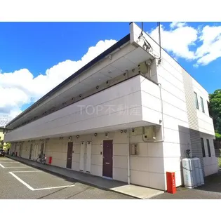 ピースコートの画像