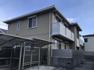 コモドY Tの画像