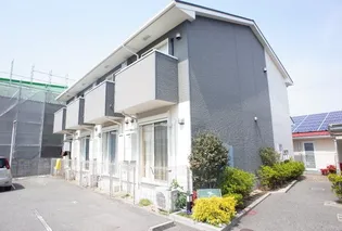 ドゥムールストレチアの画像