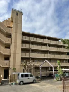 M ステージ桧の画像