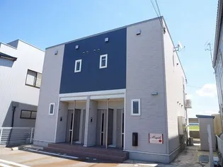 メープルの画像