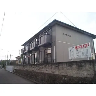 シャルムKの画像