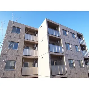 FORTUNA CAROTEの画像