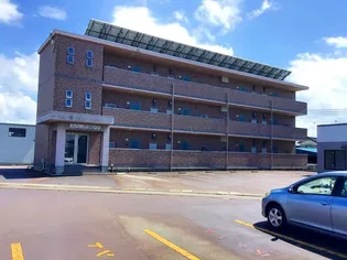 スプリング グローブの画像