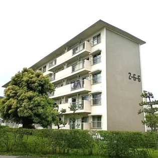 高洲第一団地の画像