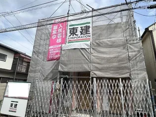 ミモザの画像