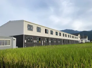 シンプルNの画像