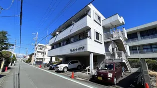 アルビノール五月の画像