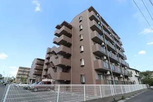 アイランド小野山の画像