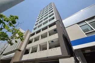 GRACE HILLSの画像
