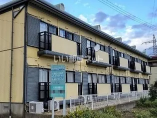 サントラップY&Sの画像