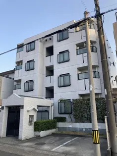 パークノヴァ藤森の画像