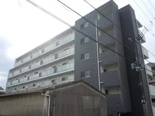 エクセル服部の画像