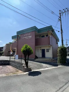 インポート久留米ルビーⅡの画像