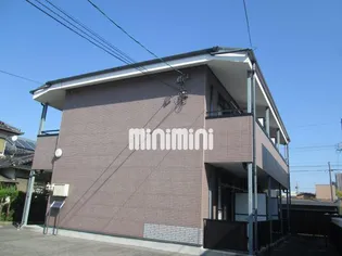 コスモス51の画像