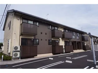 セジュールハナミズキの画像