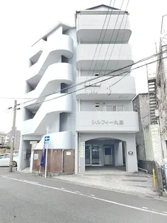 シルフィー丸島の画像