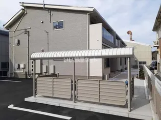 ササキア オリザの画像