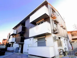 プラシードの画像