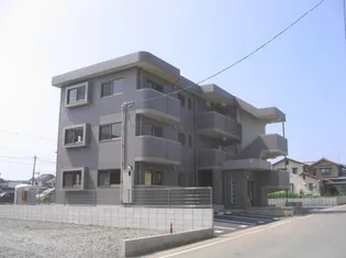 コモドフォレスタIIの画像