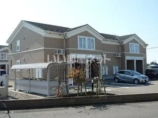 ルネサンスBの画像