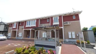 アイリスY&Aの画像