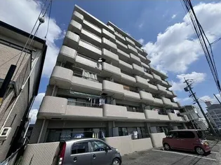 サザンコスモの画像