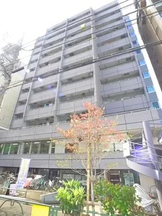 エル アルカサルフジの画像