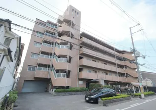 ノースフライトの画像