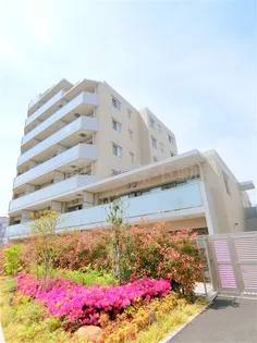 Mia CasaII【8階】の外観