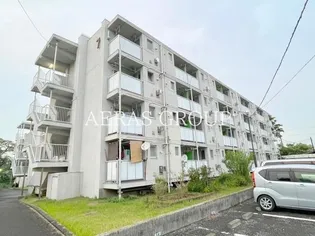 ビレッジハウス向ヶ丘2号棟の画像