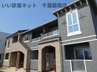 クレメントIIの画像