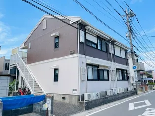 パフィオニッシンの画像