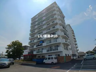 ハイマート屋島【10階】の外観