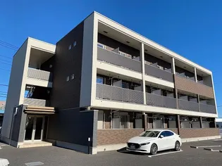 シャロルMの画像