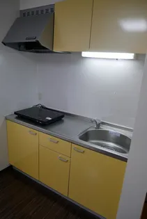 プラザ ドゥ エリーシャ【2階】のキッチン