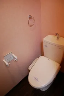 プラザ ドゥ エリーシャ【2階】の内装