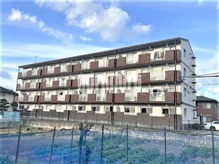 カーサたもの木の画像