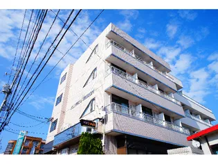 メゾンニューひまわり【4階】の外観