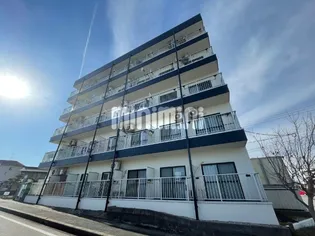 ギャザー35の画像