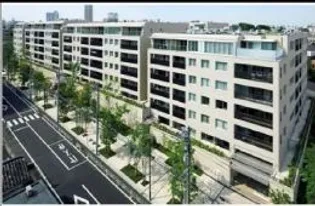 センチュリーフォレストの画像