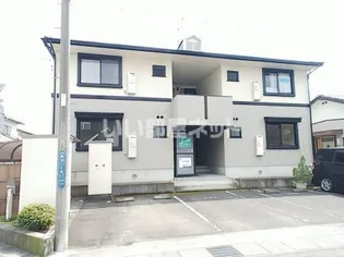 ハイカムールベルの画像