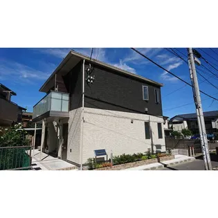 コンソラータの画像