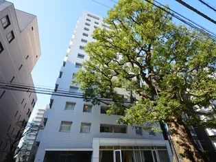 パークハウス楠郷臺【8階】の外観