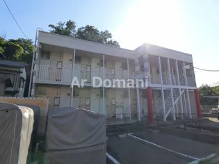 シェルグレイスの画像