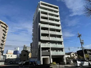 プライムローズの画像
