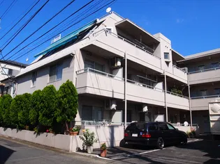 SCHELLE BAUMの画像