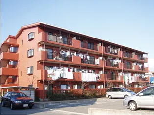 静岡県三島市徳倉1【マンション】の外観